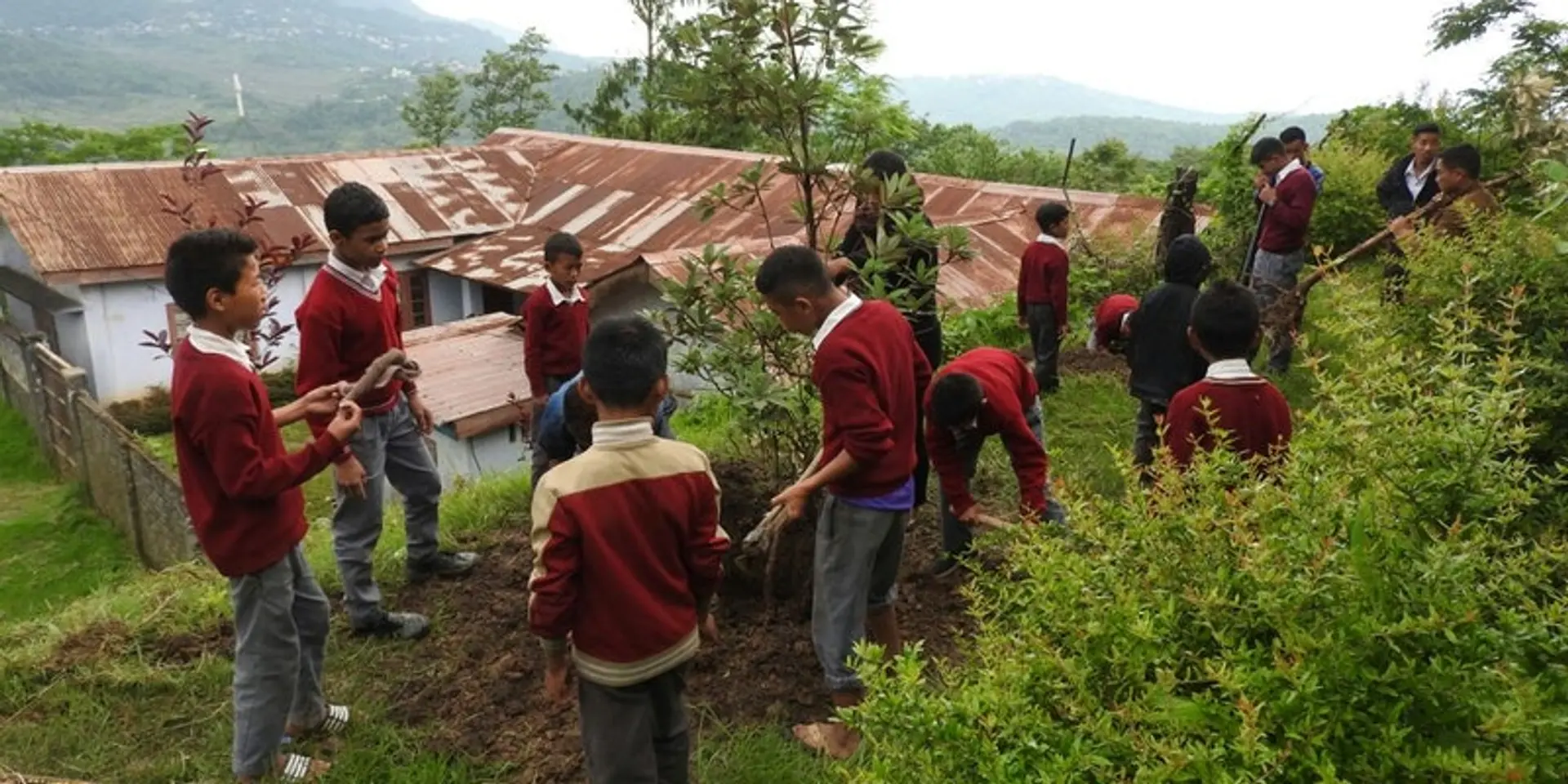 Children in this Nagaland school grow their own organic vegetables for mid-day meals