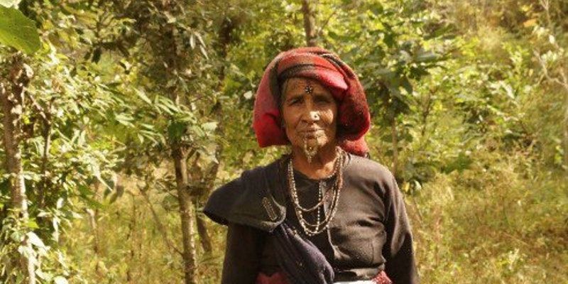 Meet Prabha Devi who has planted an entire forest of 500 trees in her village in Uttarakhand