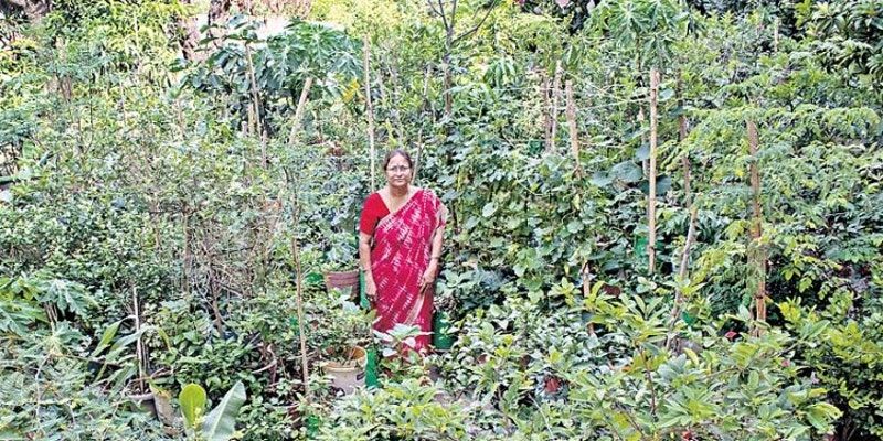 This Hyderabad-based couple’s rooftop garden is redefining urban farming techniques 