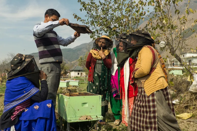 tenacious bee collective, beekeepers