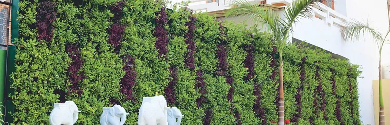 Green Walls, Living Greens