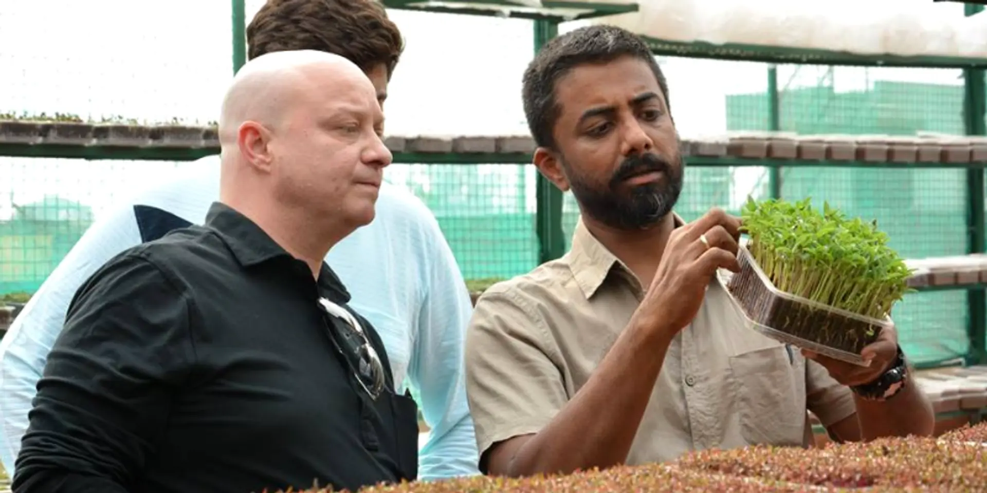 Transforming unused spaces into live food gardens, this Mumbai startup is showing the way to go organic