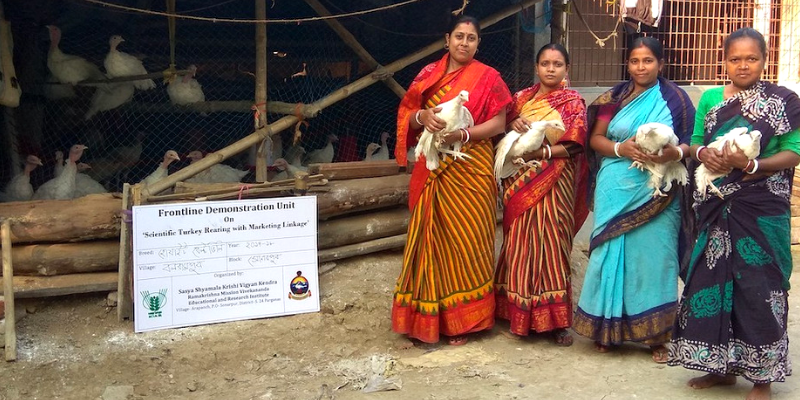 How a group of women in Bengal gave wings to their livelihood aspirations with turkey rearing