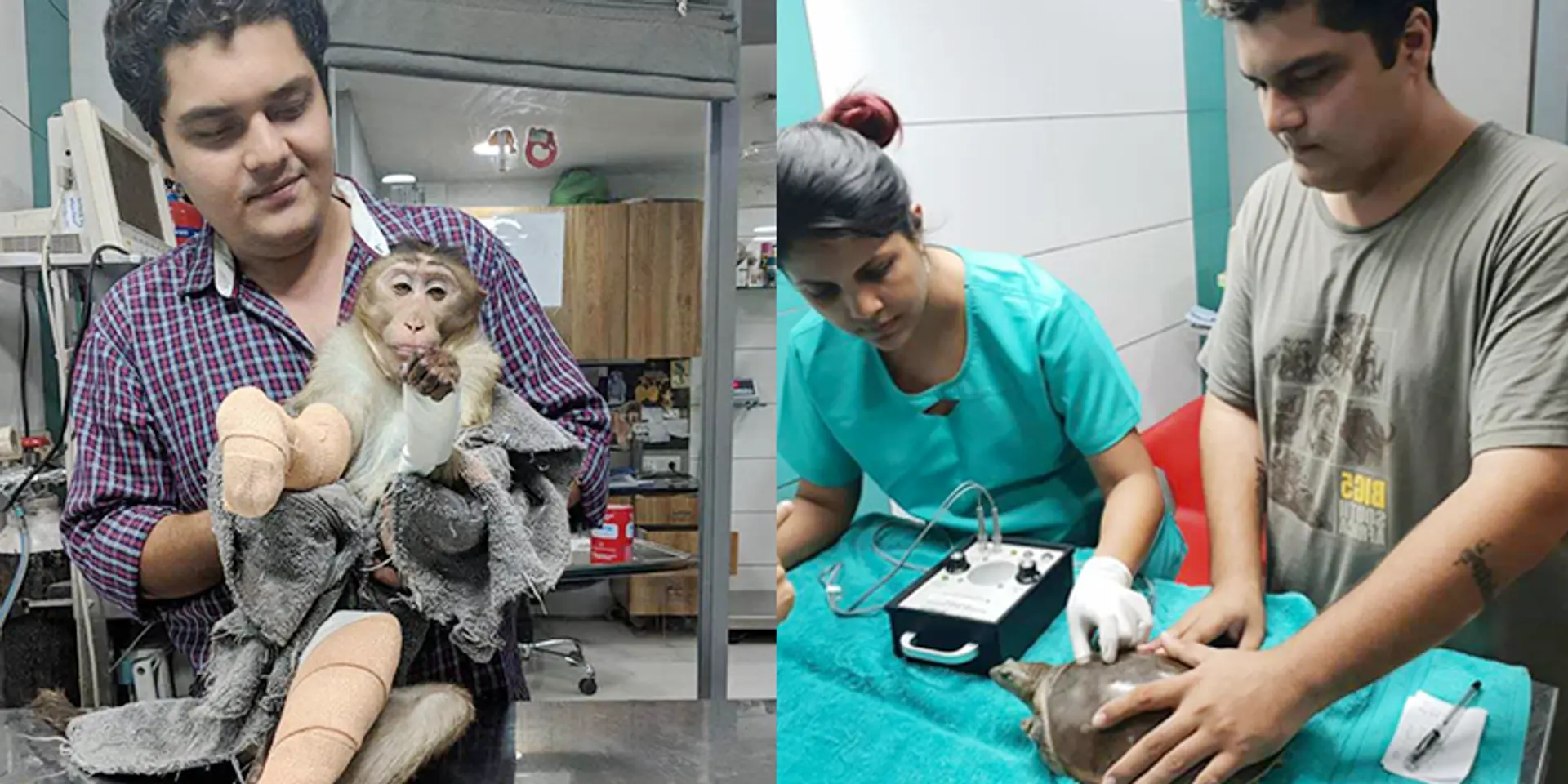 This 26-year-old Mumbaikar rescues and rehabilitates wild animals, birds, and reptiles