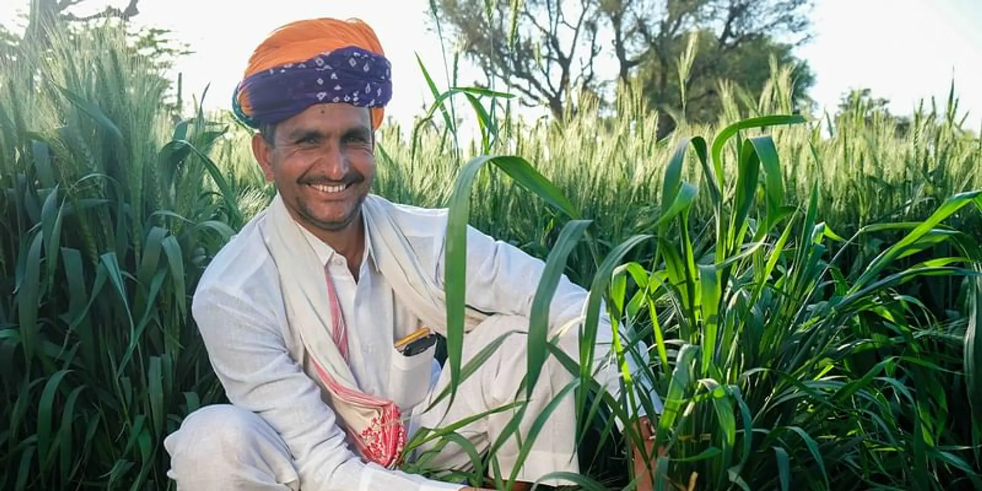 Consciousness: The need of the hour in agriculture