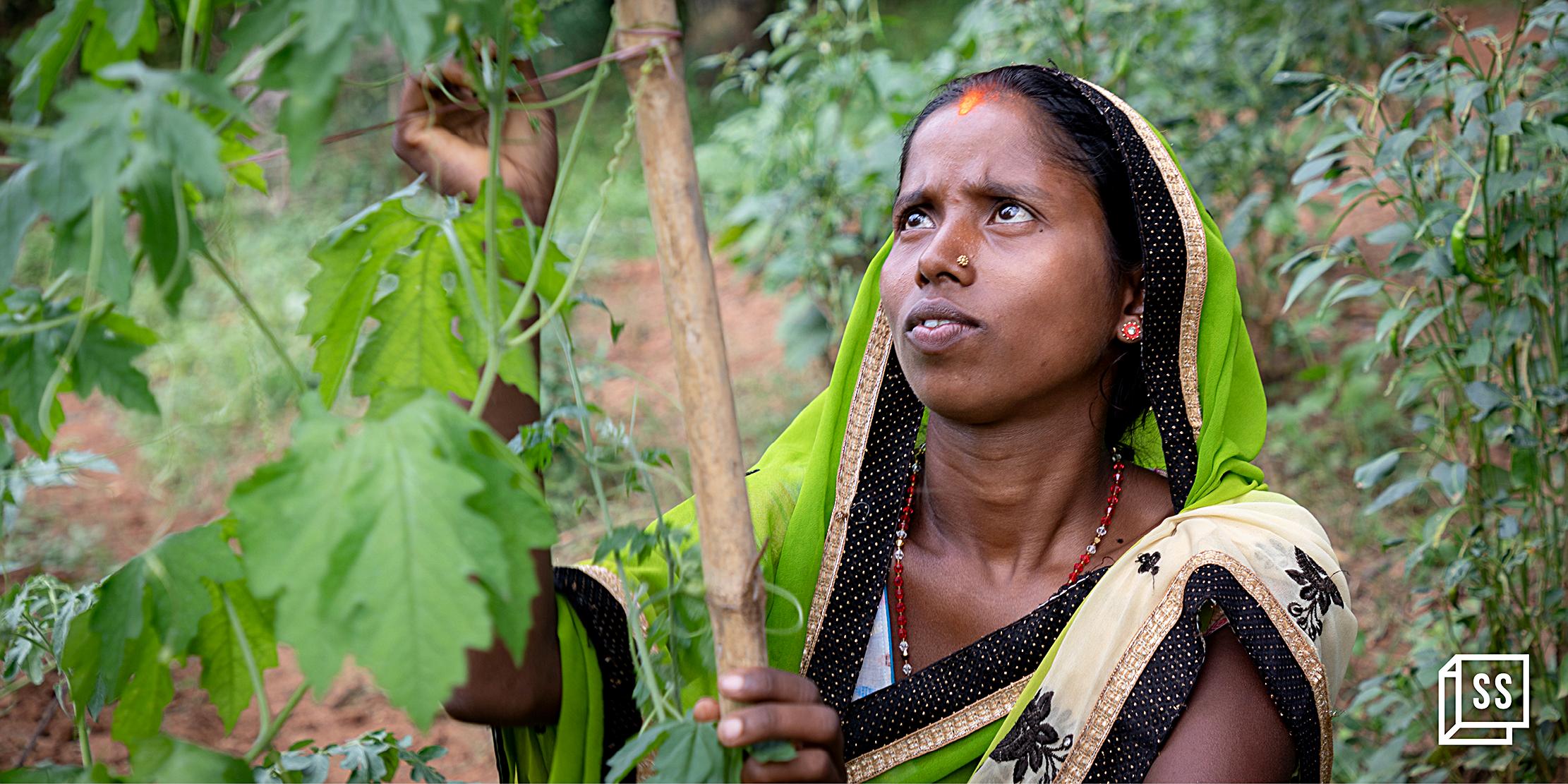 How 400 women from rural Jharkhand graduated out of ultra-poverty