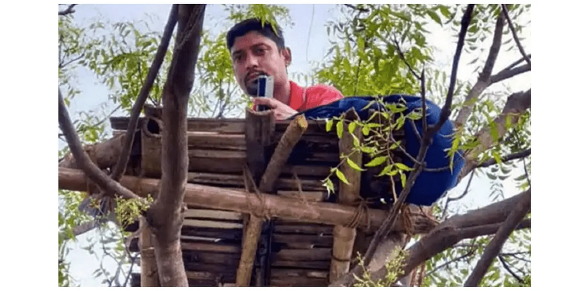 Coronavirus: This history teacher in West Bengal climbs a tree to take digital classes for students