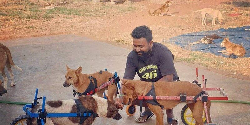 Meet the man feeding Bengaluru’s hungry strays with home-cooked food amid coronavirus crisis
