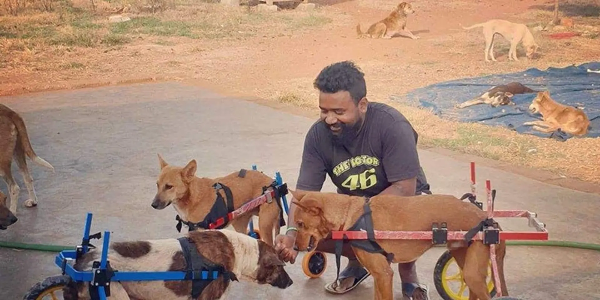 Meet the man feeding Bengaluru’s hungry strays with home-cooked food amid coronavirus crisis