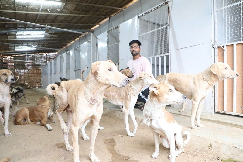 Monday Motivation] Meet the dog lover who has rescued and treated over 20k  strays in Jodhpur