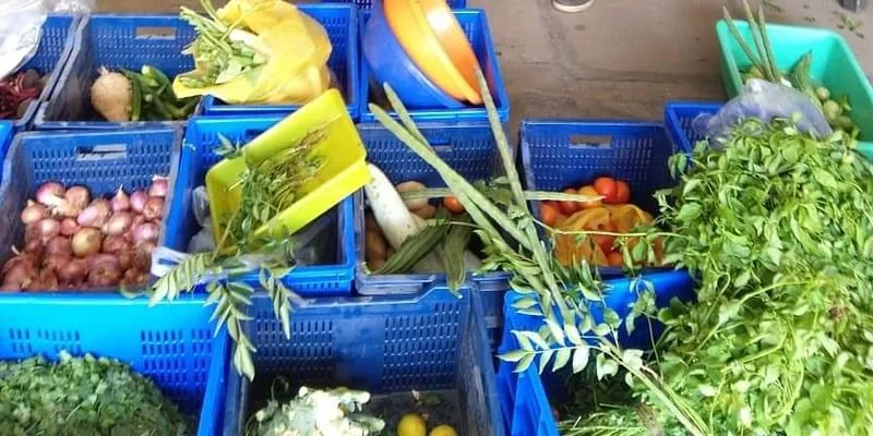 Veg Route