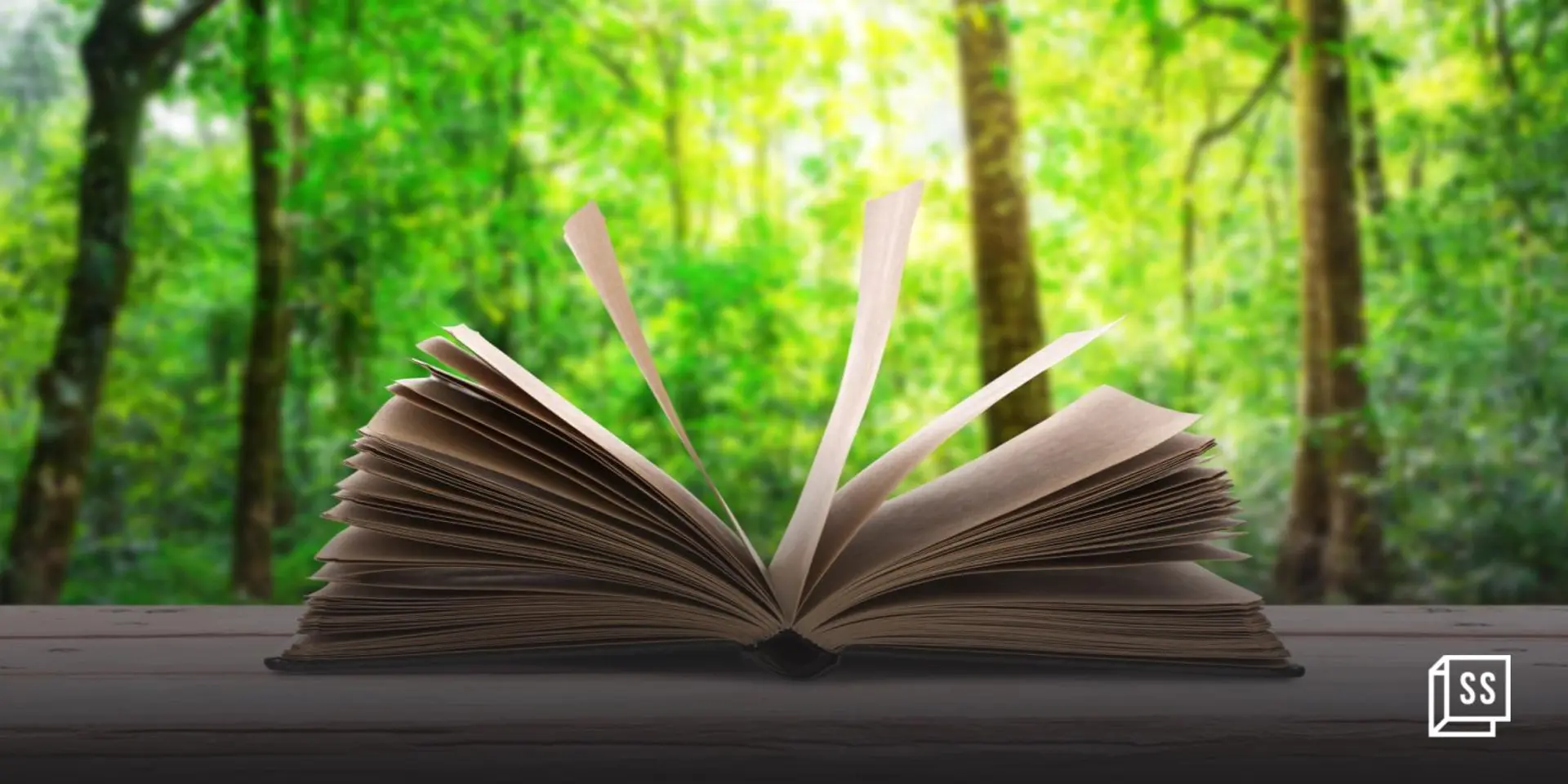 Environmental education in an outdoor classroom