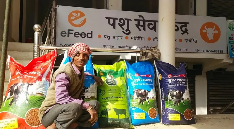 E-feed