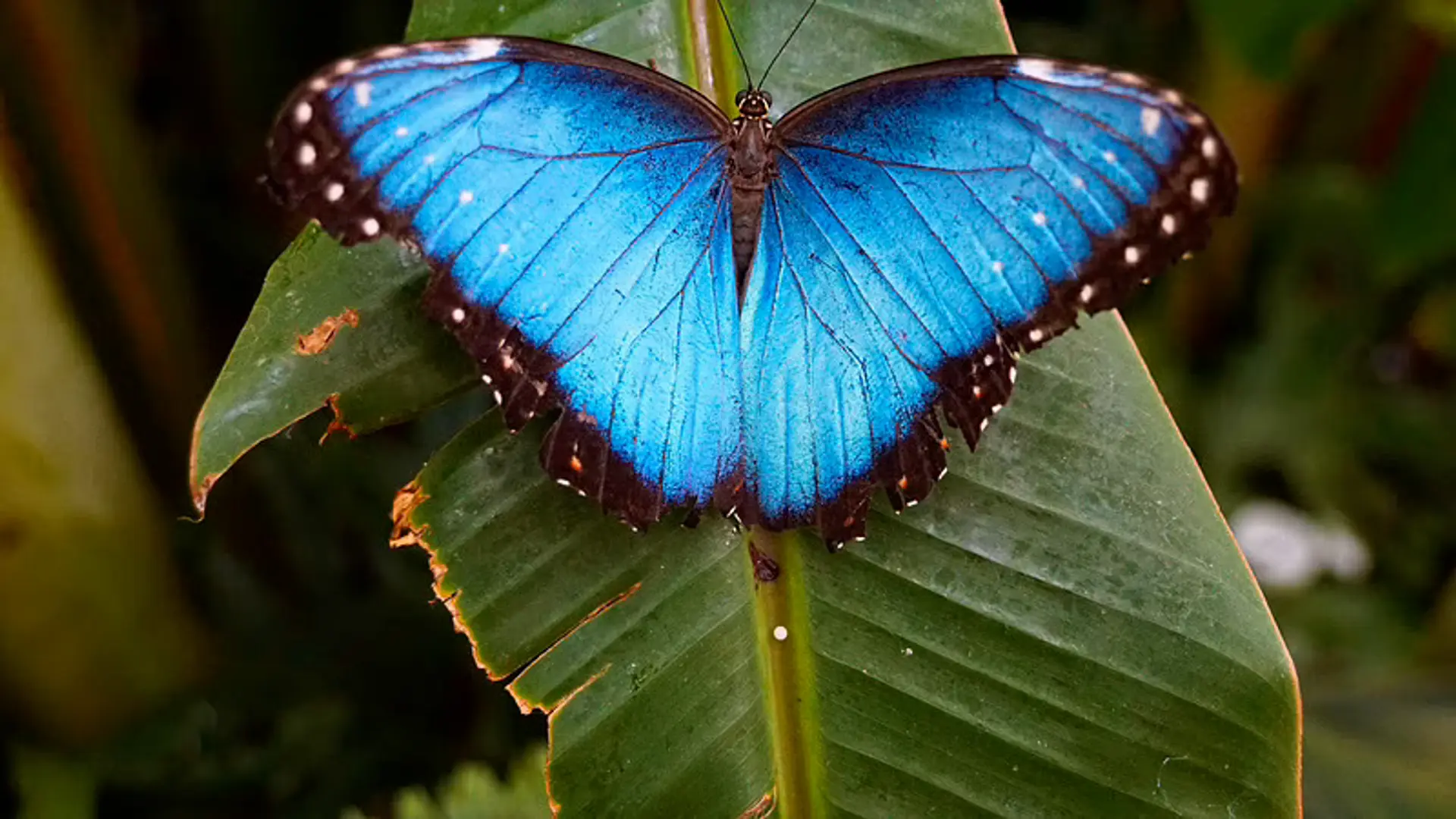 These changemakers are connecting people with nature in innovative ways
