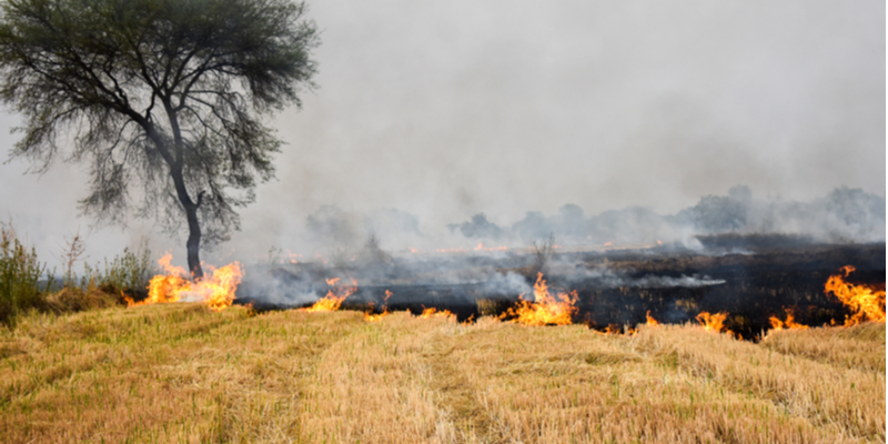 How CII Foundation, ONGC Foundation are working with farmers to fight toxic stubble burning
