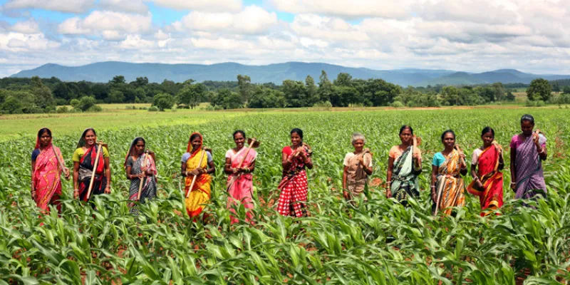 Agriculture in Odisha