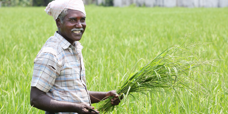 Agri sector likely to remain resilient from COVID-19 impact; to grow 2.5pc in FY21: Crisil