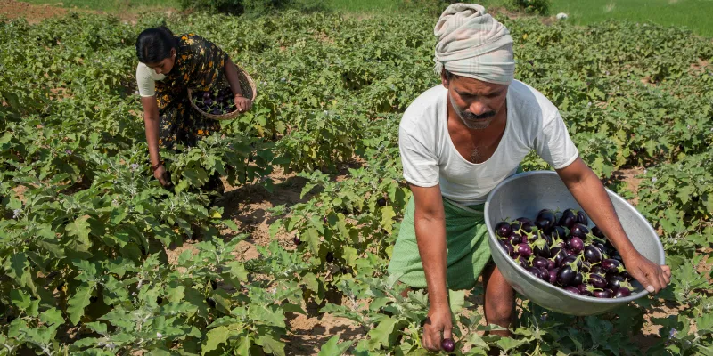 Agriculture
