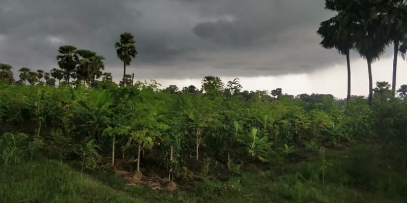 [Funding alert] Pune-based agritech startup FarmERP raises Series A from Technogen