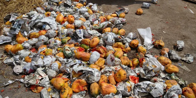Vegetable and Fruit Waste