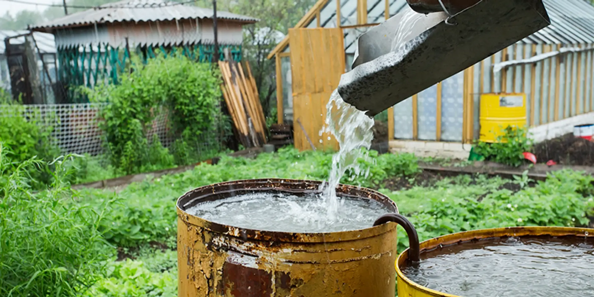 Team Glow Girls develops an organic filter to reduce quantity of ejected water