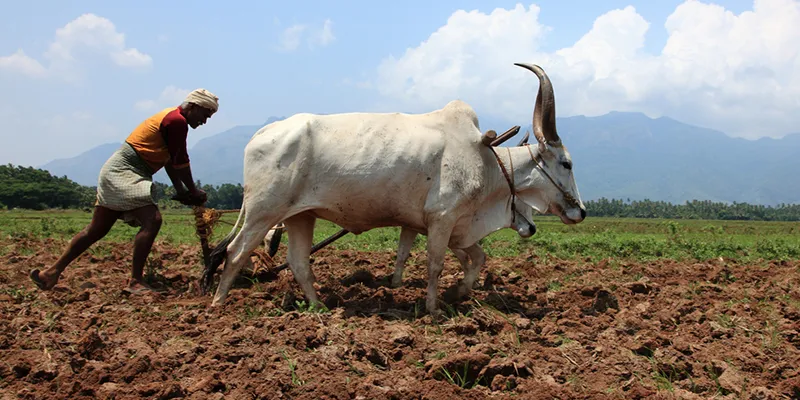 farming, precision agriculture, crop rotation, organic farming, soil health