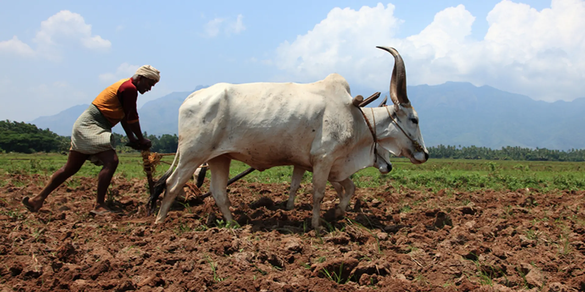 Solving India’s soil infertility problem with precision technologies