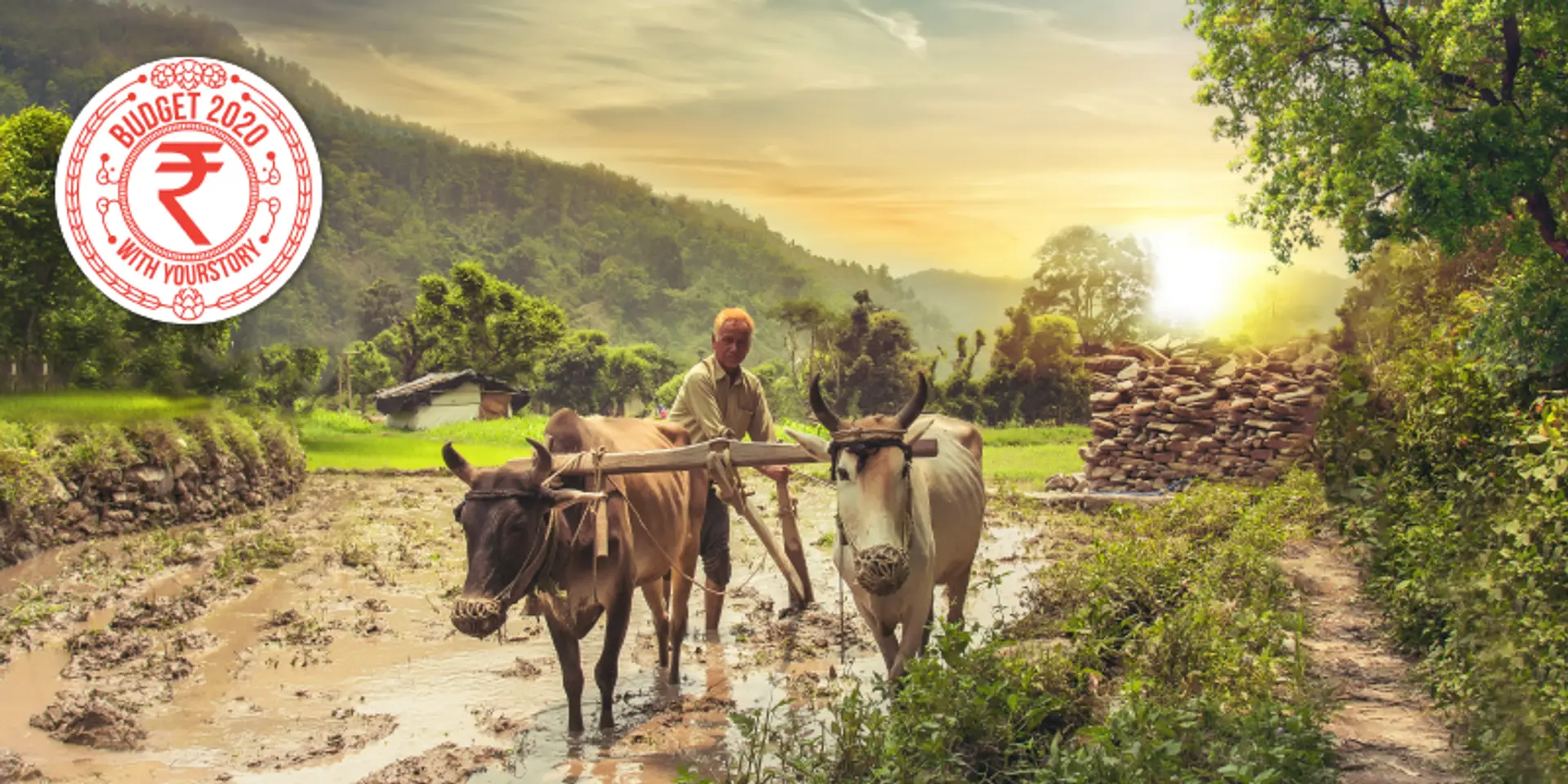 Budget 2020: Nirmala Sitharaman proposes 16-point action plan to boost farmers' income