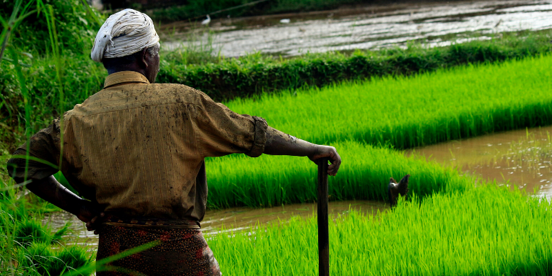 Retail inflation for farm, rural workers rise marginally in July