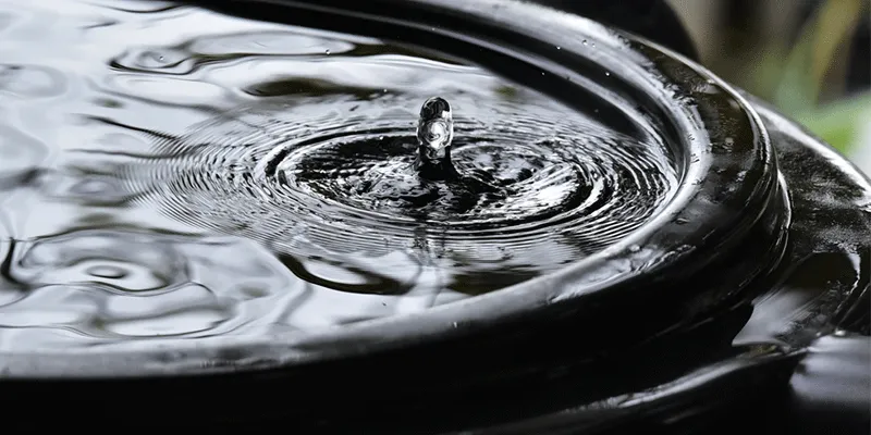 Rainwater Collection