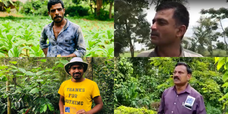 Nothing succeeds like success for these agroforestry farmers in Cauvery basin