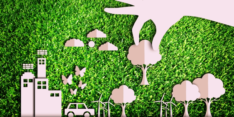 Empowering Sustainable Living: Making Eco-Friendly Choices Accessible to All