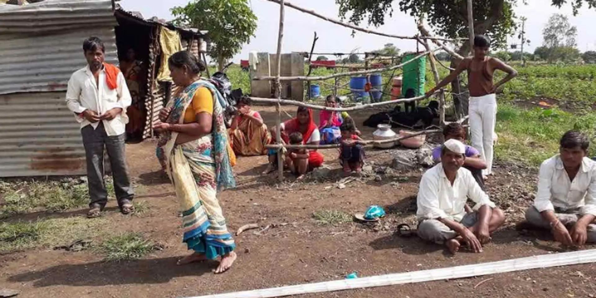 Land rights on pastures empower deprived communities in Maharashtra