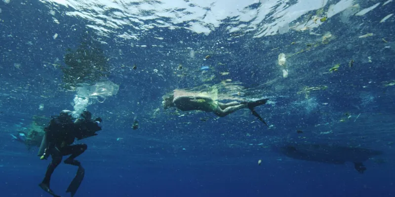 A Plastic Ocean