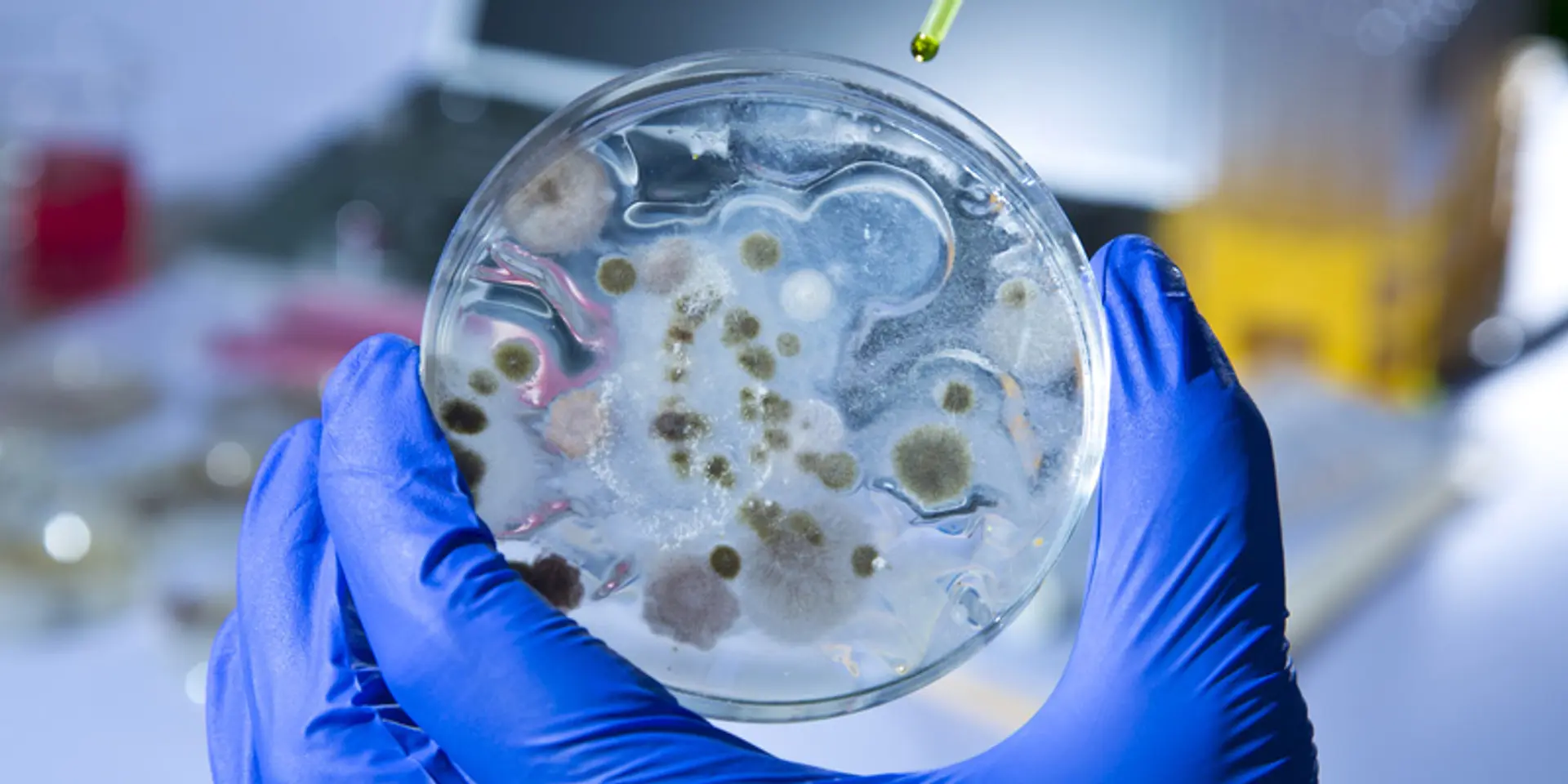 Coronavirus updates for April 2