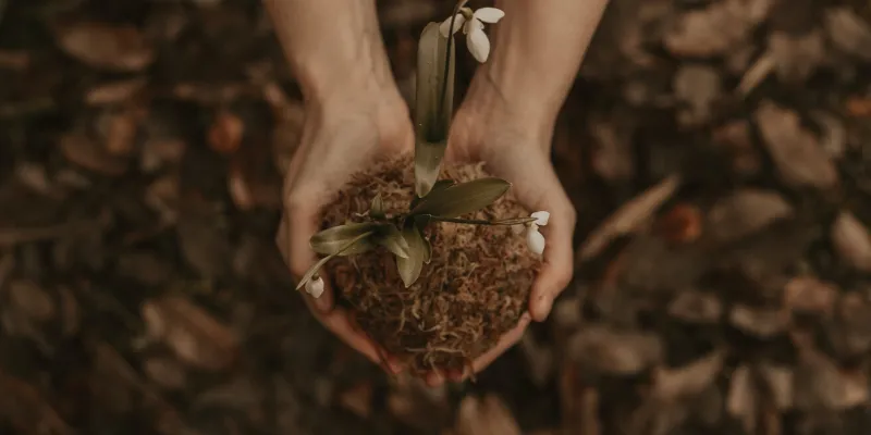 Composting