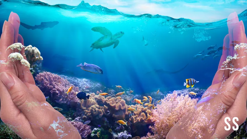 ocean conservation