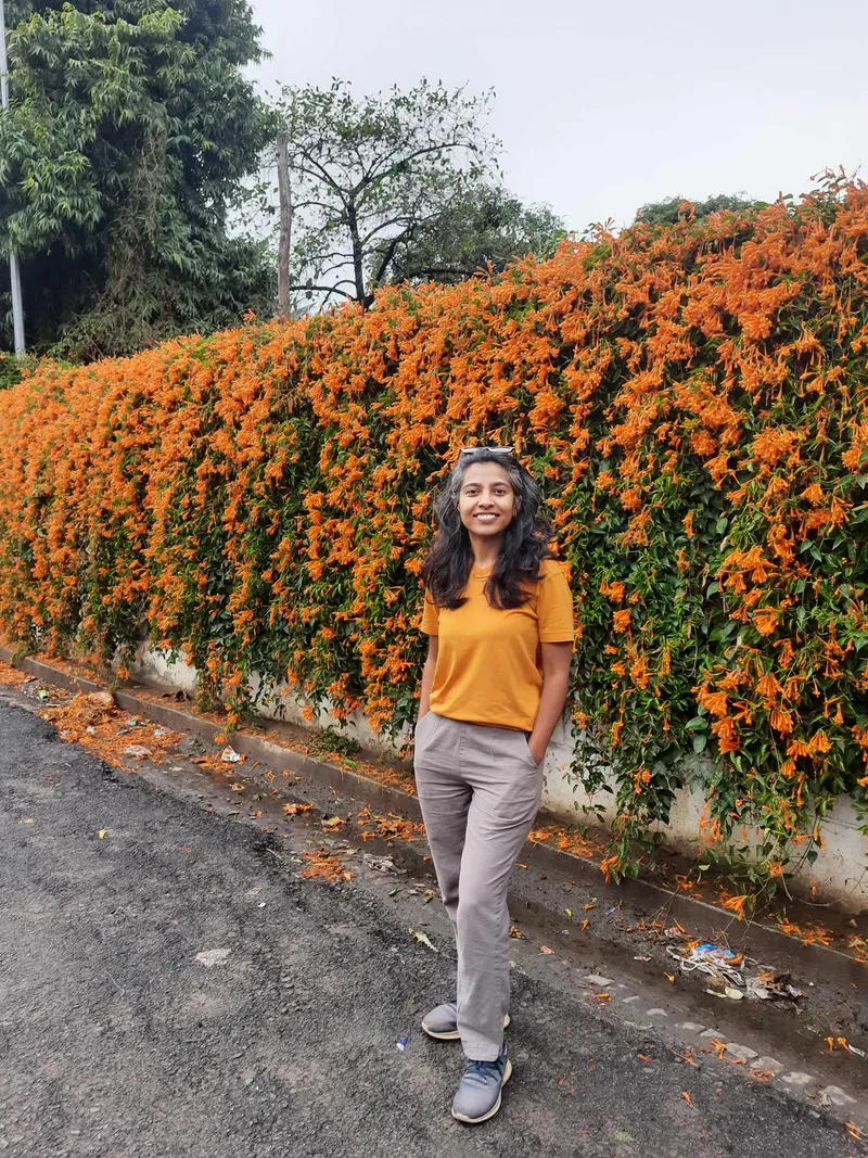 himalayan blooms
