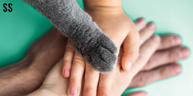 Why animal welfare rarely makes the CSR agenda in India