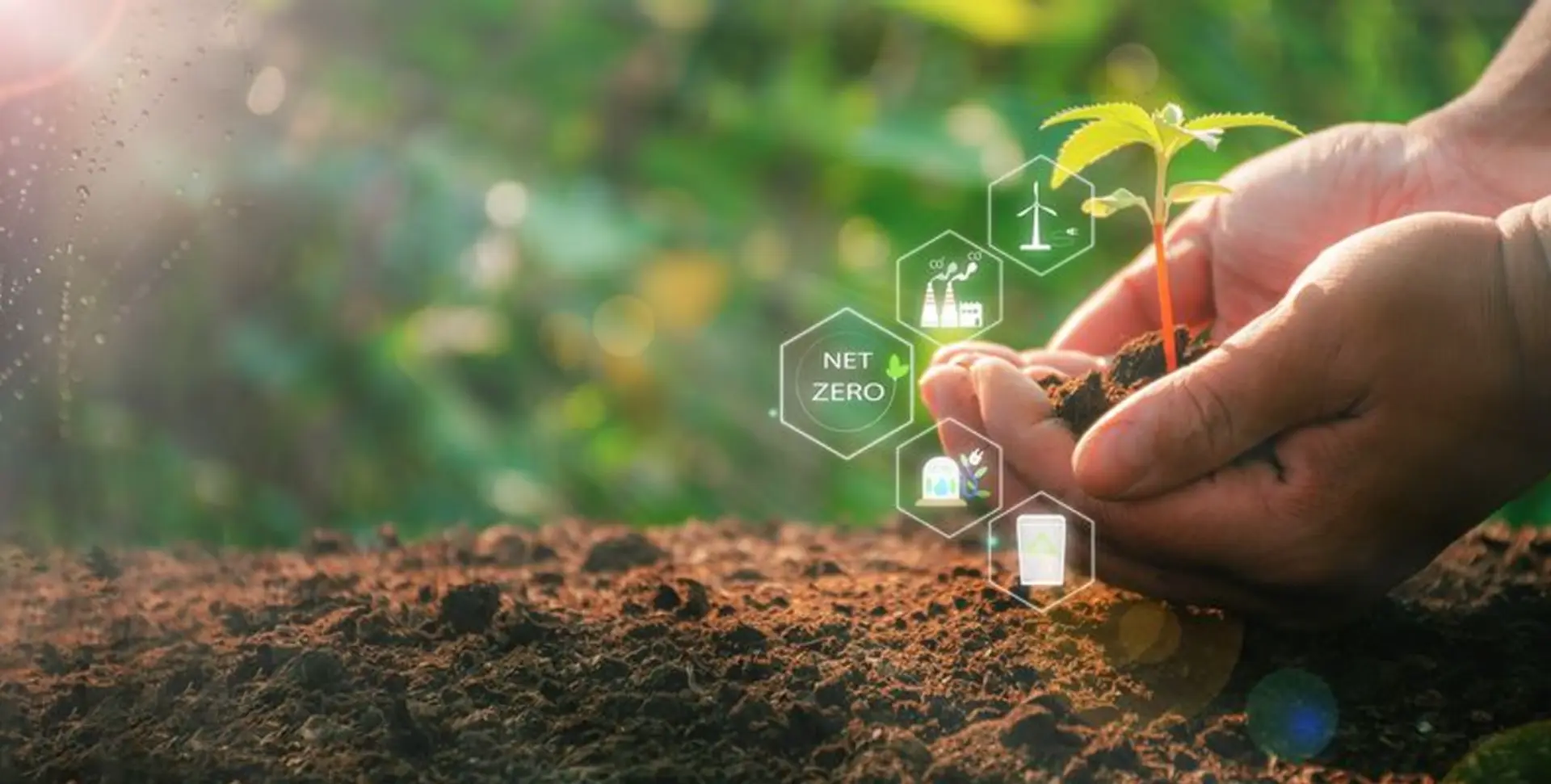 Fostering a green startup ecosystem: how sustainable facility management enhances entrepreneurial growth