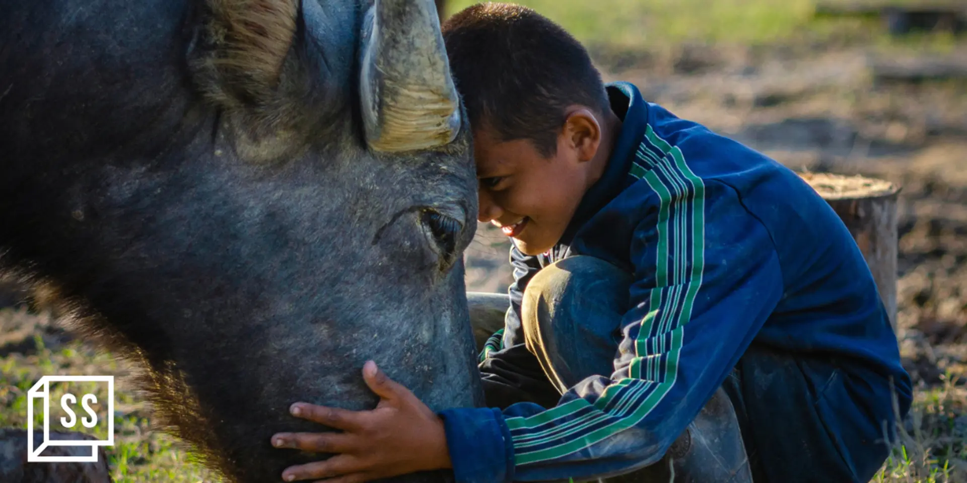Why animal welfare is a corporate and an individual responsibility