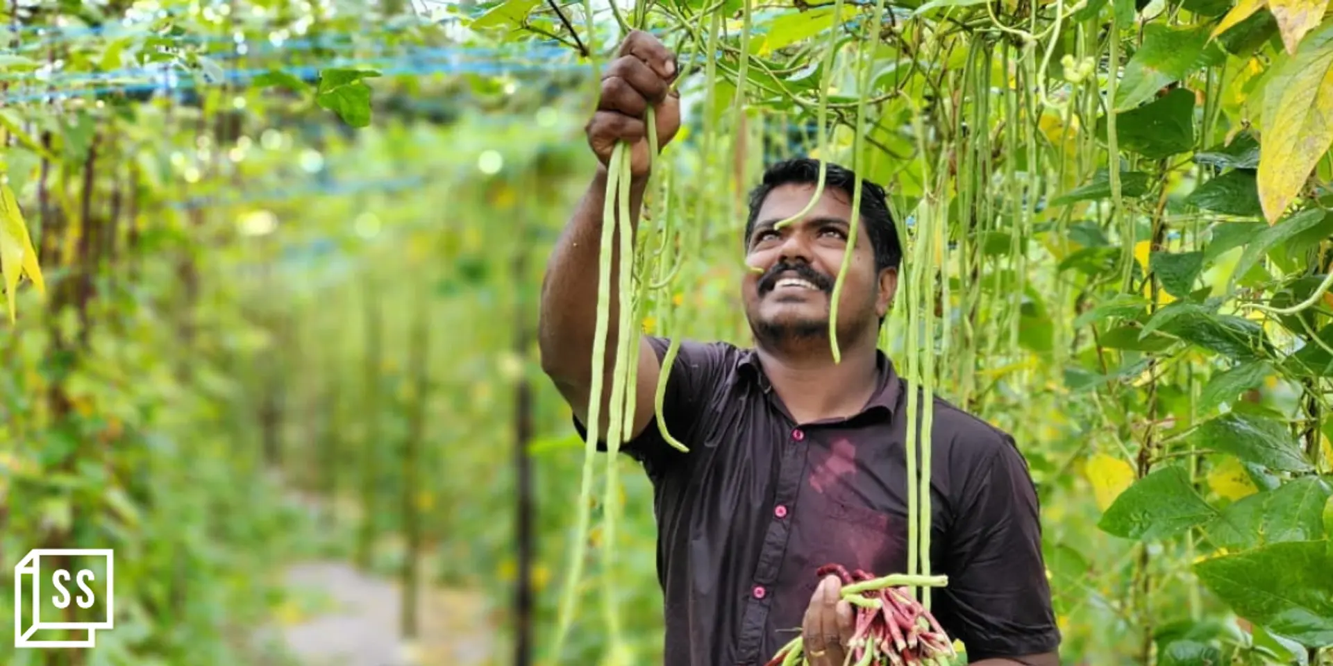 In Kerala’s Kanjikuzhy panchayat, villagers are harvesting the benefits of organic farming