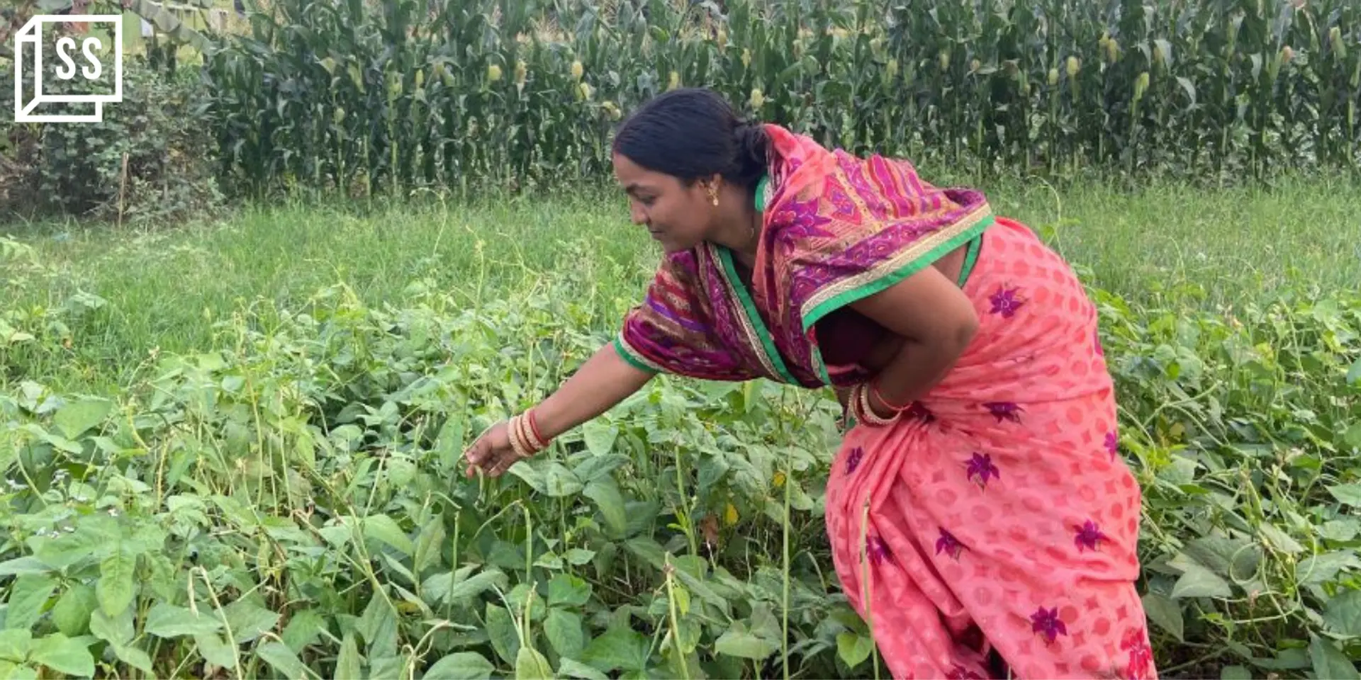 Farmers switch to organic cultivation thanks to this ‘agri-friend’