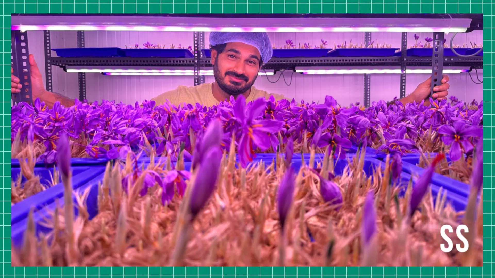 From blueprints to blooms: How a Kerala engineer is cultivating saffron indoors
