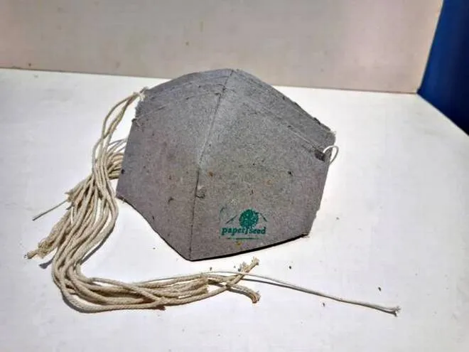 Paper seed mask