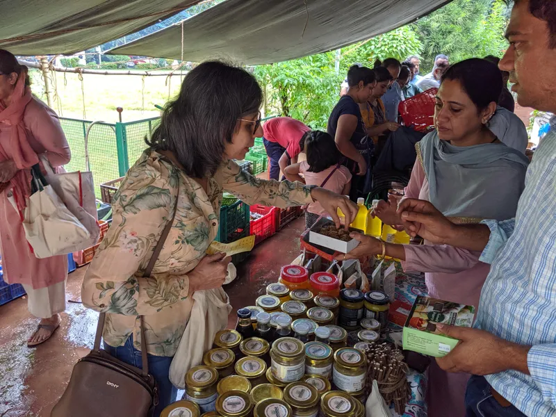 Meet The 2 Brothers Who Gave Up Their Banking Careers For Organic Farming And Empowered 9 000 Farmers Tejasvini interaction with lawyer turned organic farmer aparna rajagopal. organic farming and empowered 9 000 farmers