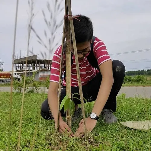 plantation drive Ecoalarmist