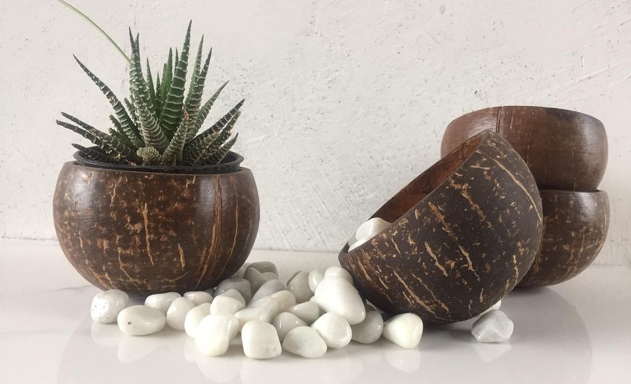 How this startup is upcycling discarded coconut shells into trendy, sustainable lifestyle products