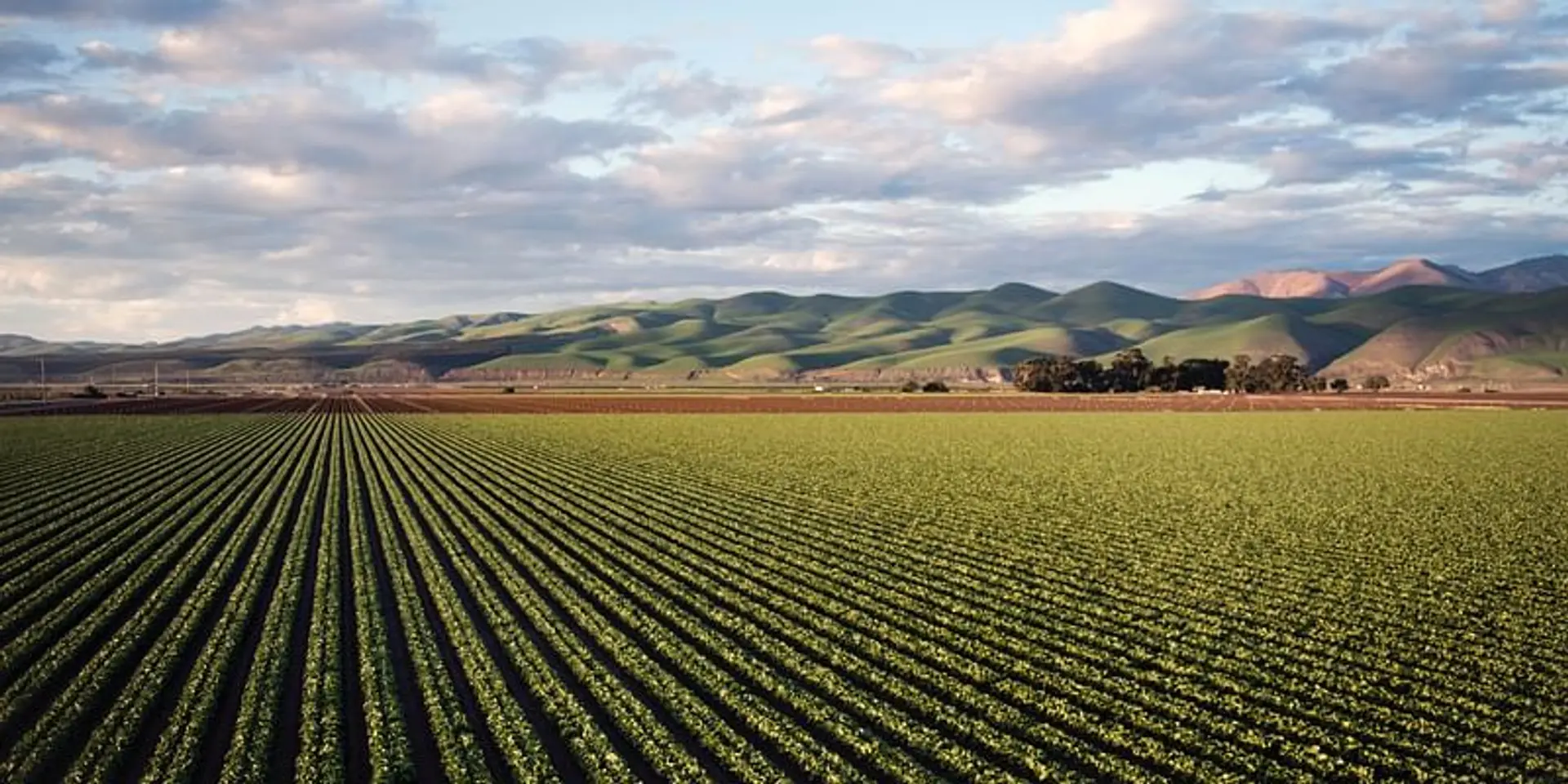 US farming: Lessons in sustainability from the Meskwaki Nation
