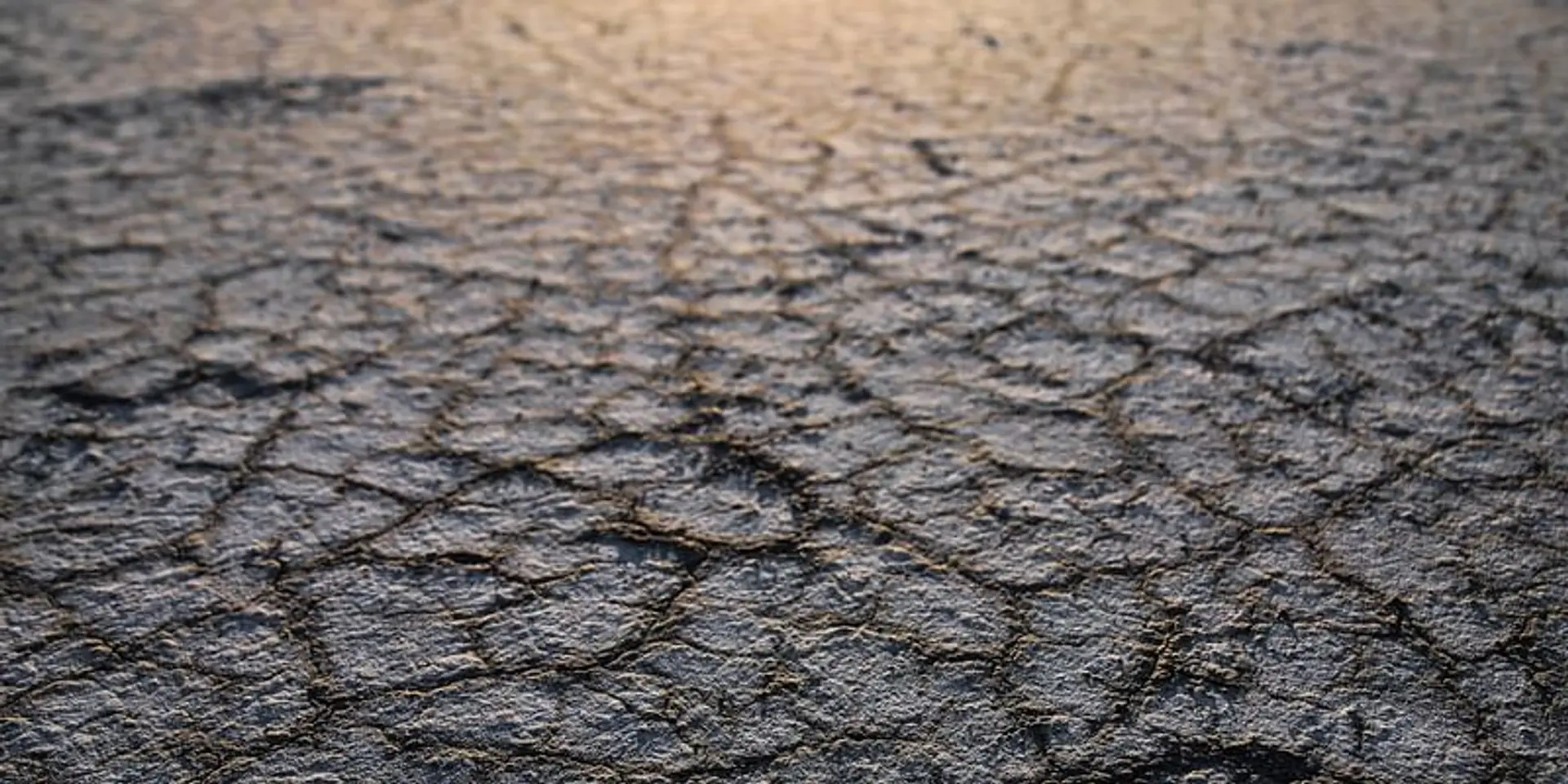Extreme weather displaces record numbers of people as temperatures rise